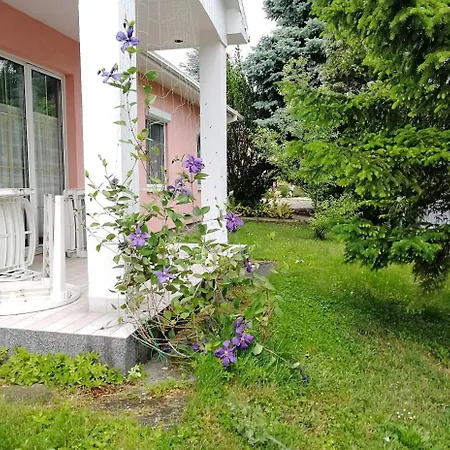 Feszek Apartmanhaz