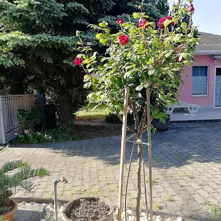 Feszek Apartmanhaz Apartman *