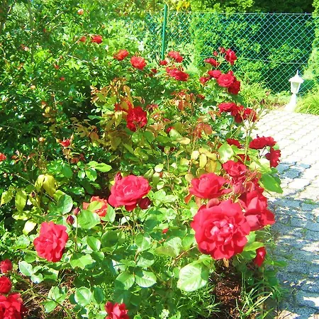 Feszek Apartmanhaz Vonyarcvashegy