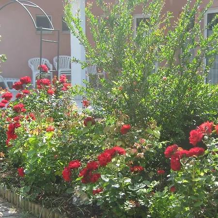 公寓 Feszek Apartmanhaz 沃尼奥尔茨沃什海吉