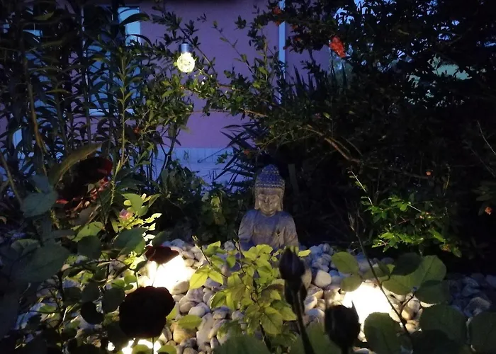 Feszek Apartmanhaz *