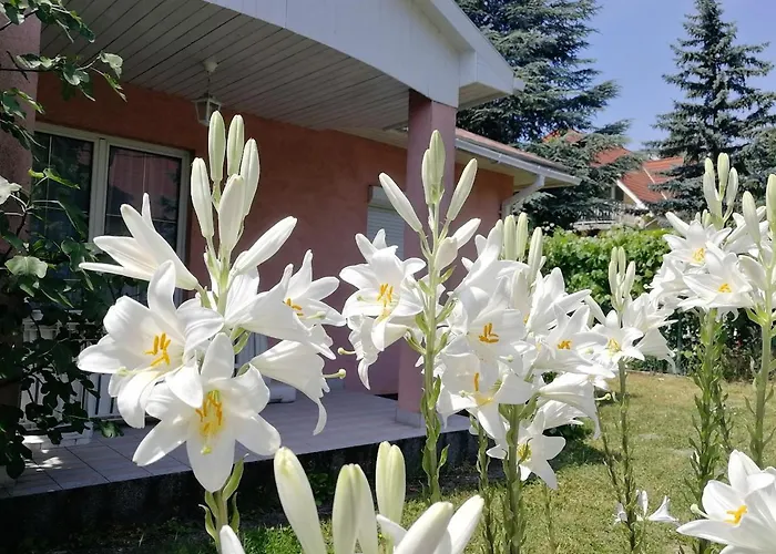 Feszek Apartmanhaz Διαμέρισμα