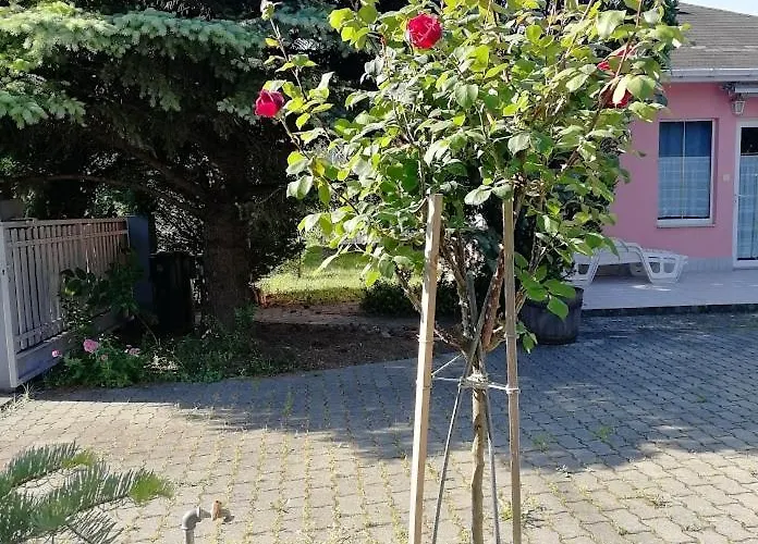 Feszek Apartmanhaz Appartement *