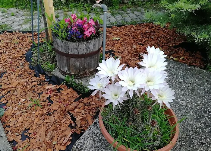 Apartamento Feszek Apartmanhaz Vonyarcvashegy