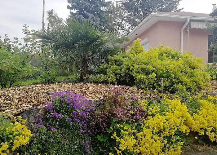 Feszek Apartmanhaz *