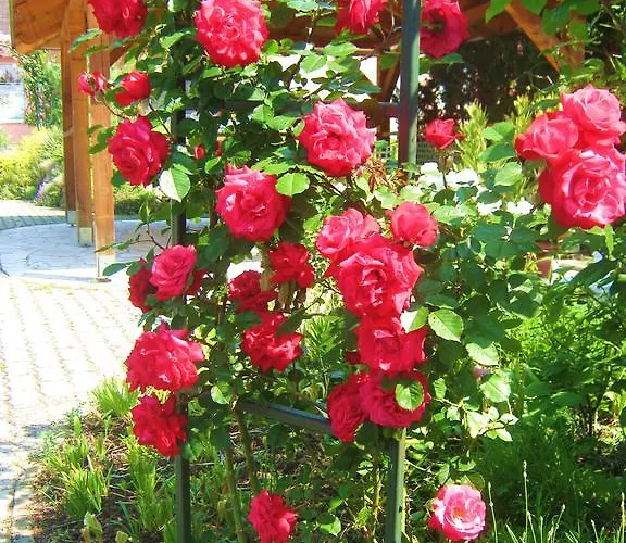 Διαμέρισμα Feszek Apartmanhaz