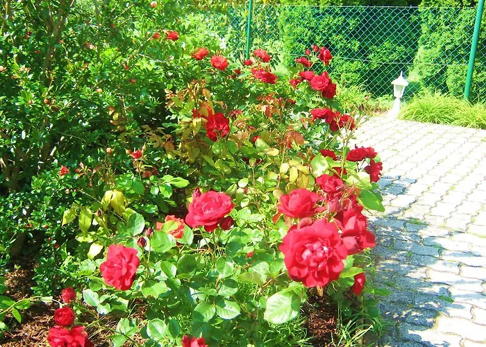 Feszek Apartmanhaz Vonyarcvashegy